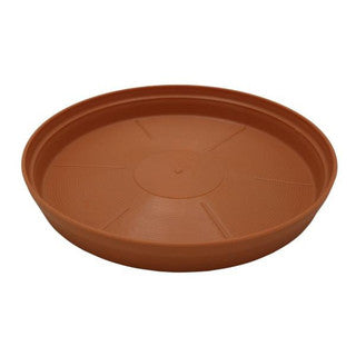 26cm Country Saucer