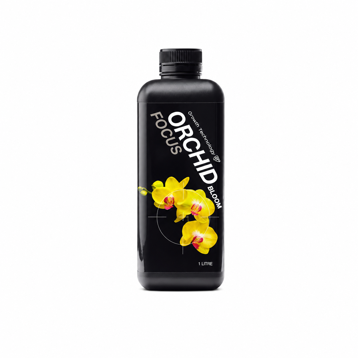 Orchid Focus