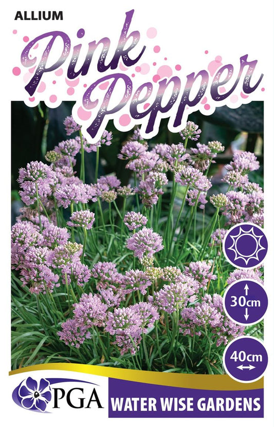 Allium ‘Pink Pepper’