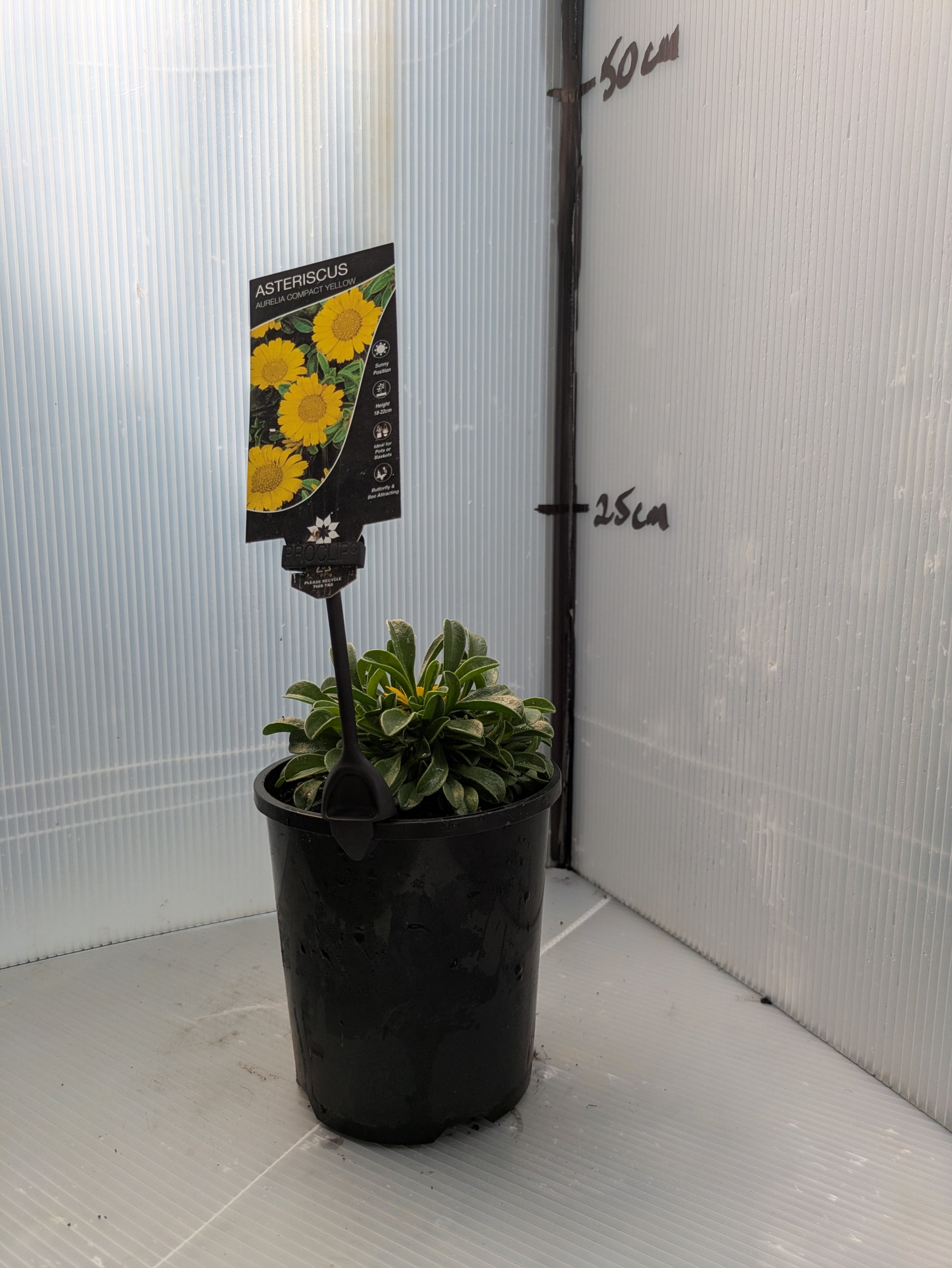 the plant broker