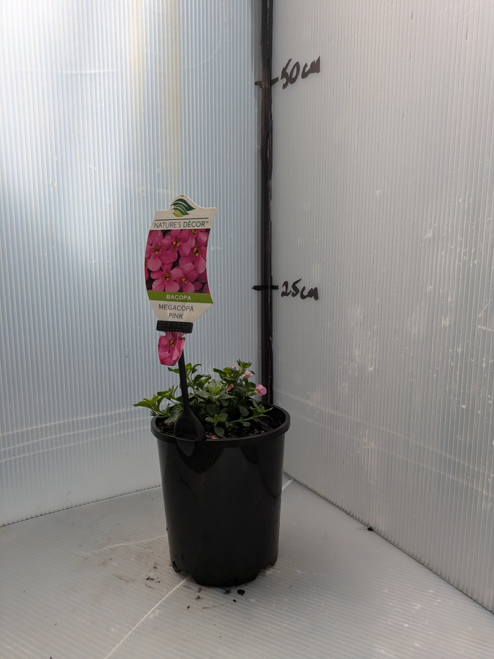 the plant broker