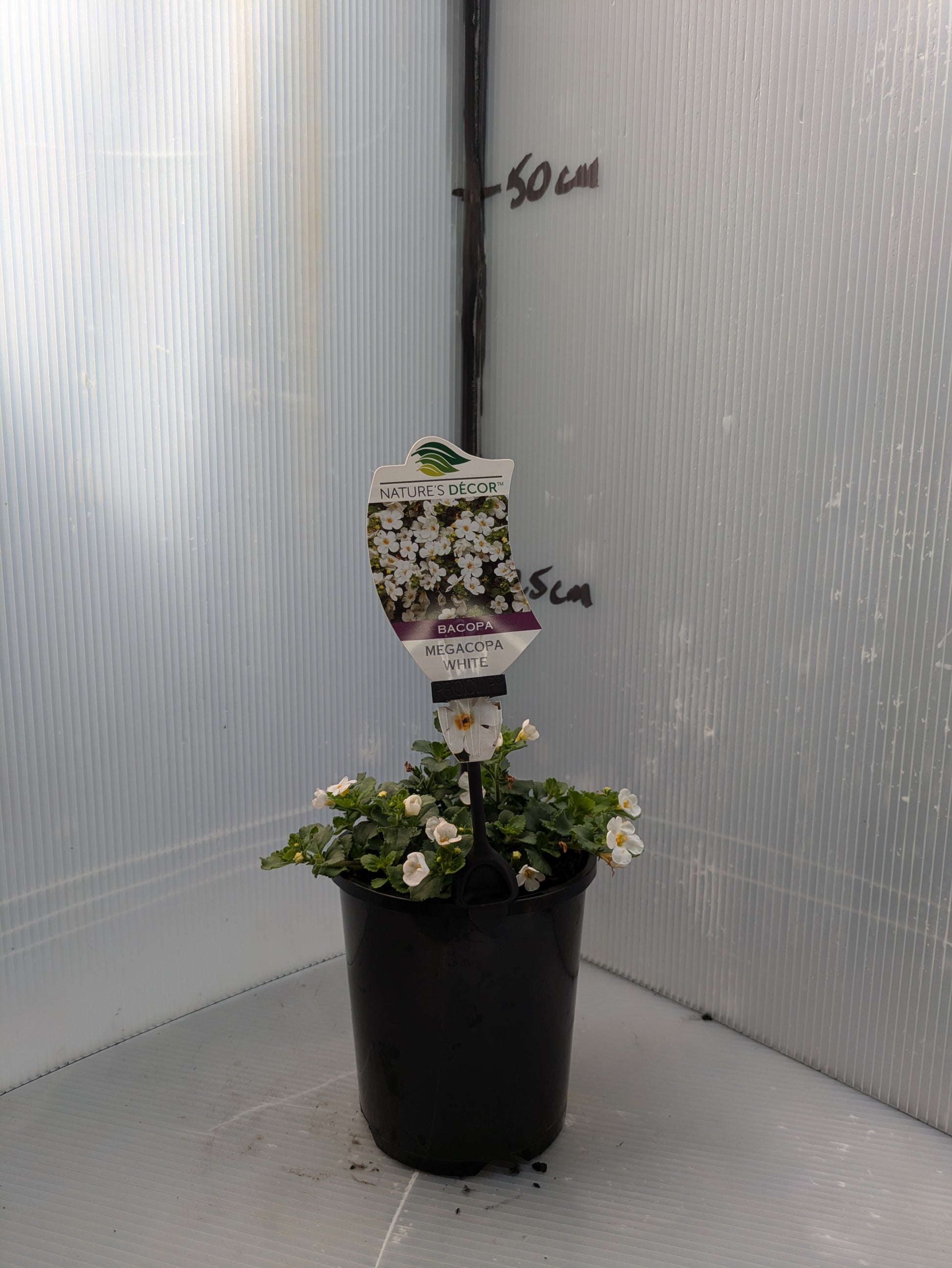 the plant broker