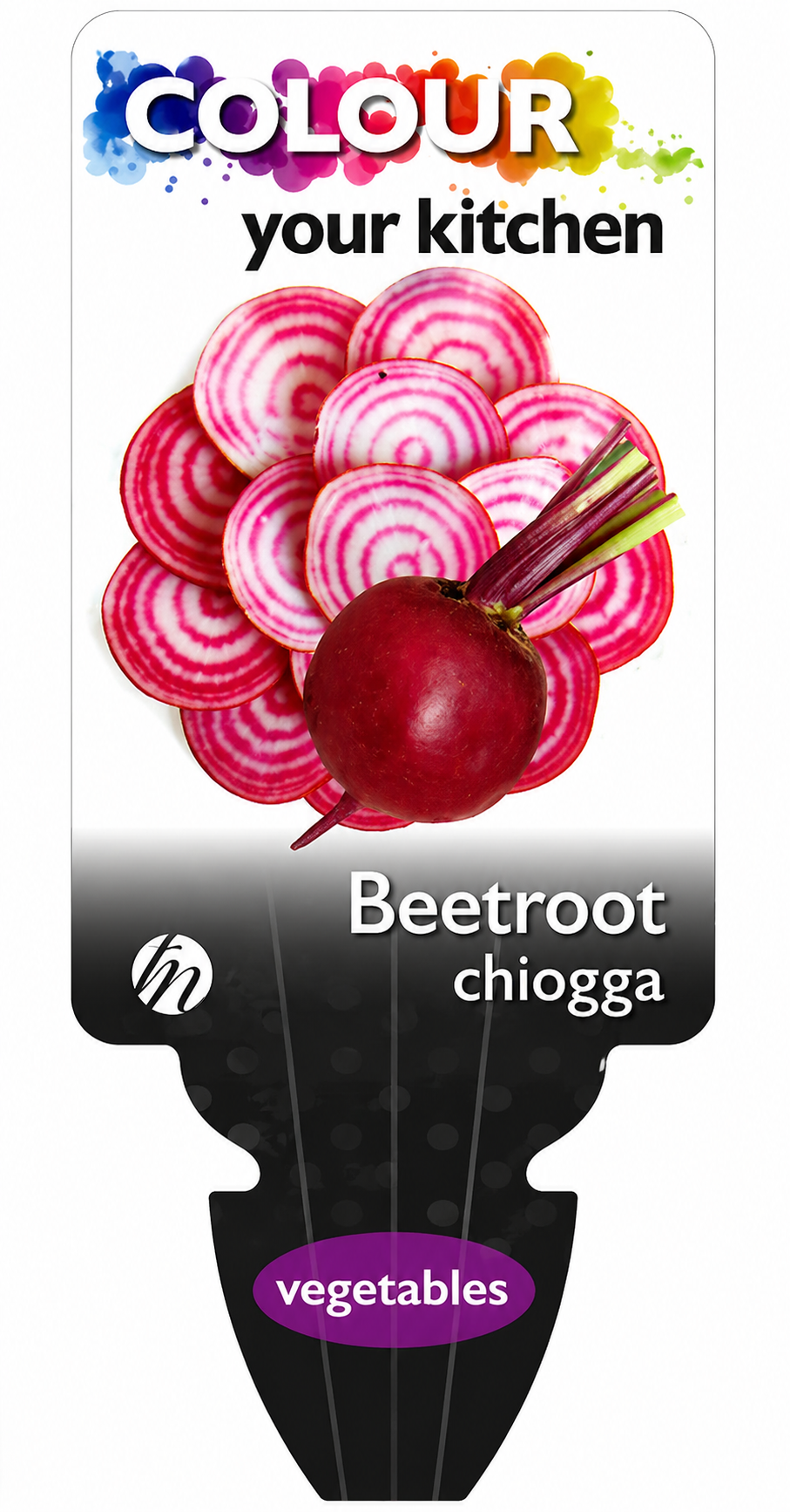 Beetroot - Chioggia Beta vulgaris