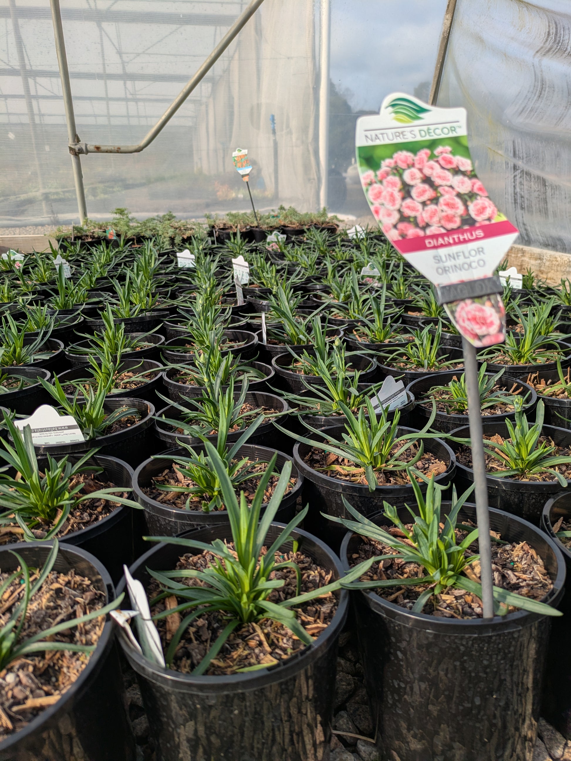 the plant broker