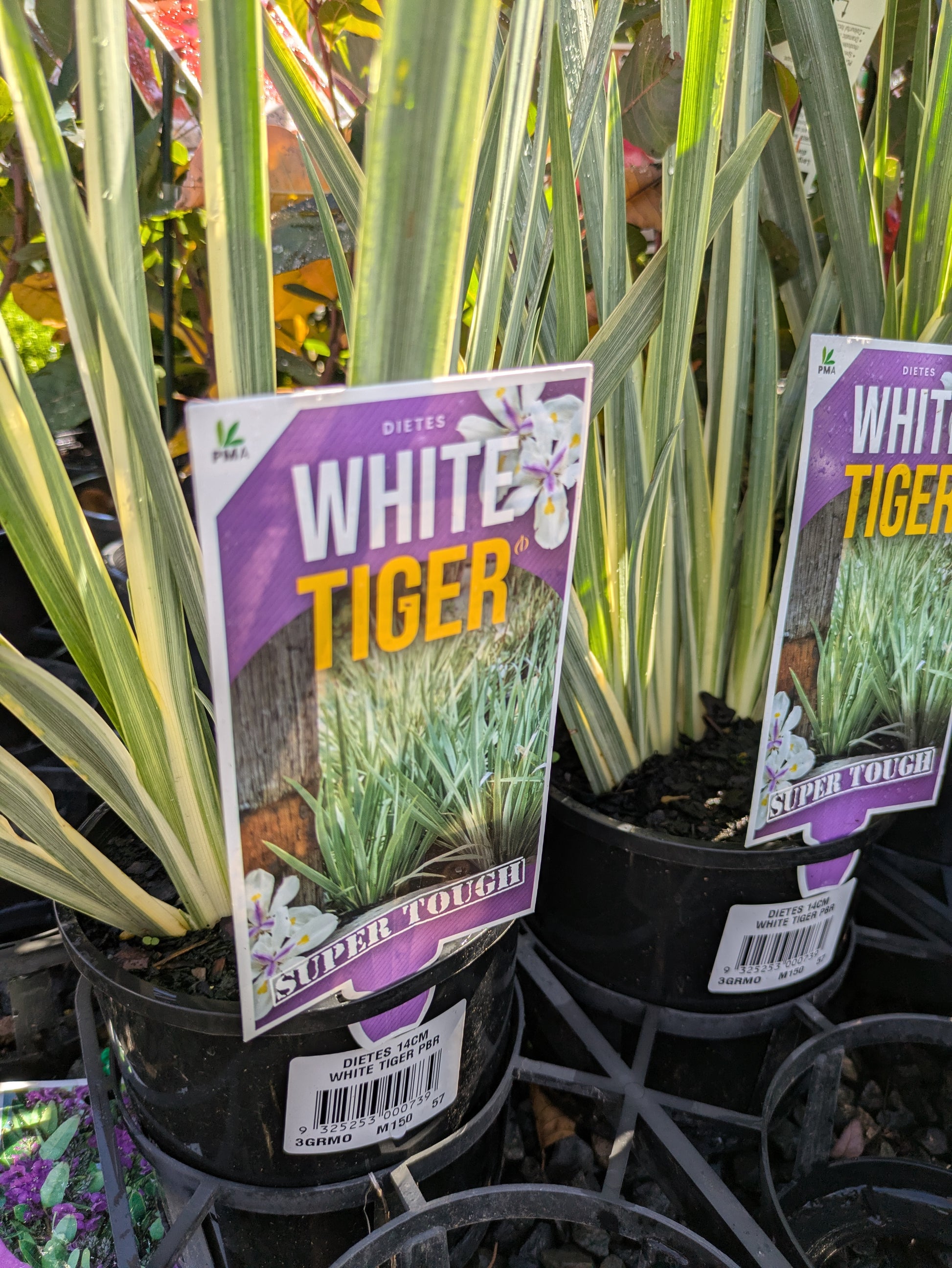 the plant broker