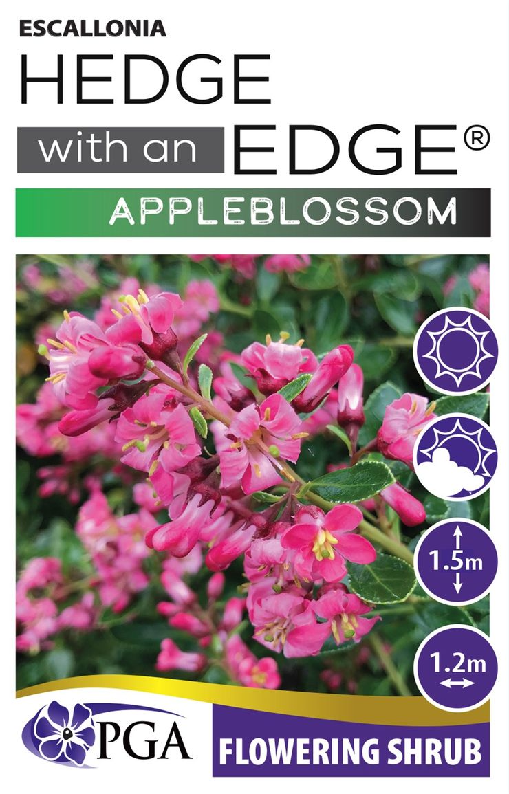 Escallonia ‘Appleblossom HEDGE WITH AN EDGE®’