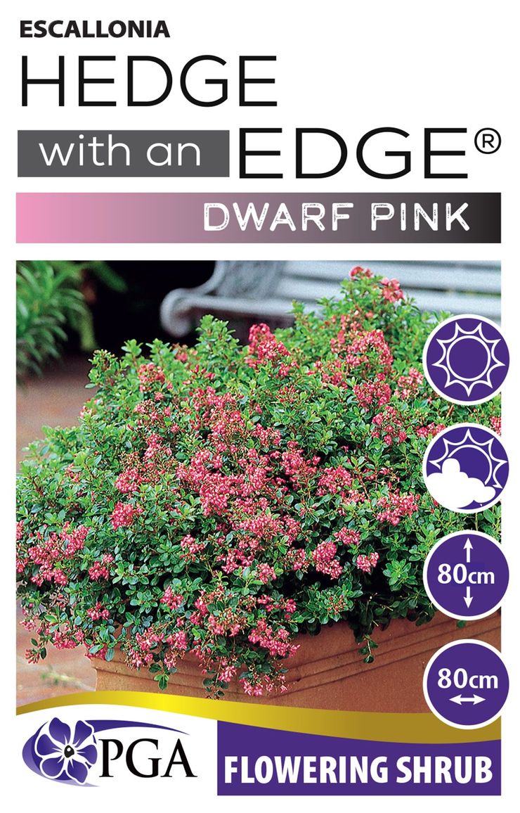 Escallonia ‘Dwarf Pink HEDGE WITH AN EDGE®’