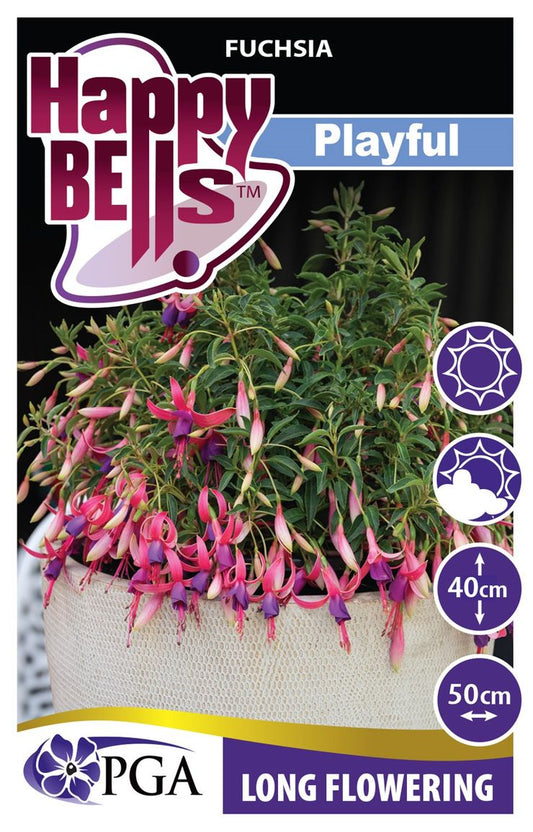 Fuchsia ‘HAPPY BELLS™ Playful’
