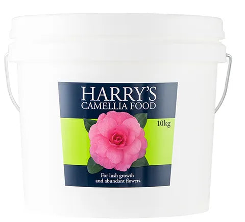 Harry's Camellia Food