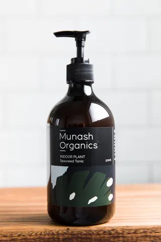 Indoor Seaweed Tonic