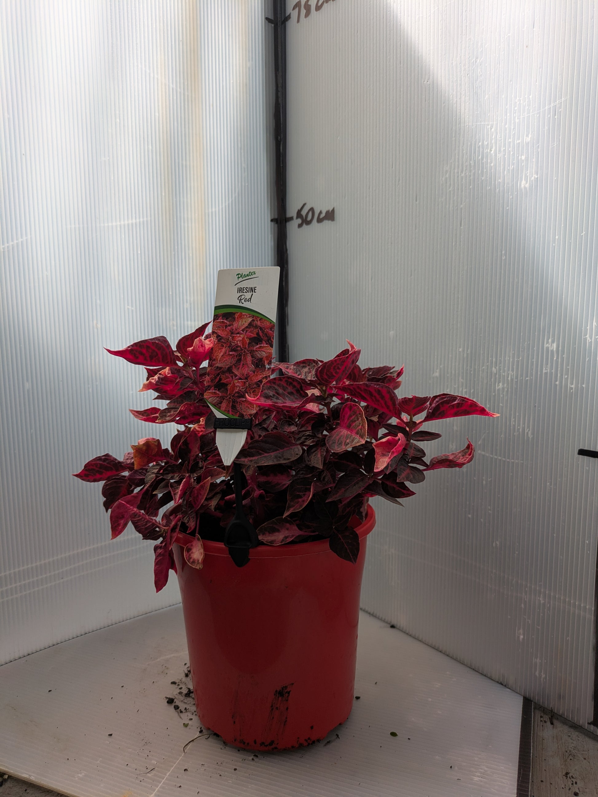 the plant broker