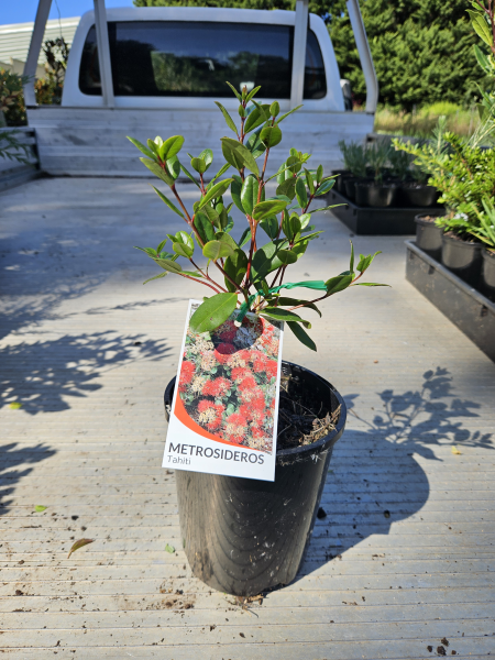 the plant broker