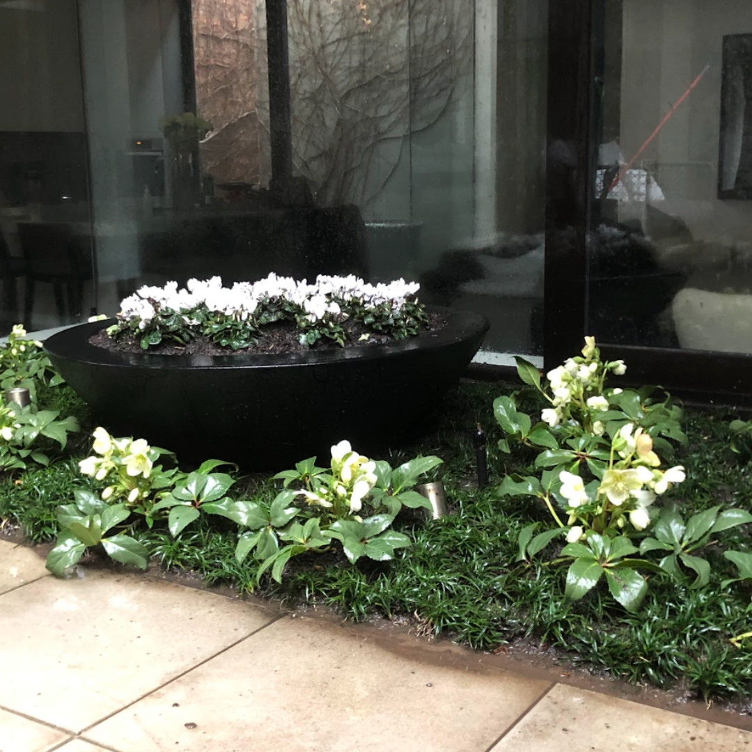 The Plant Broker