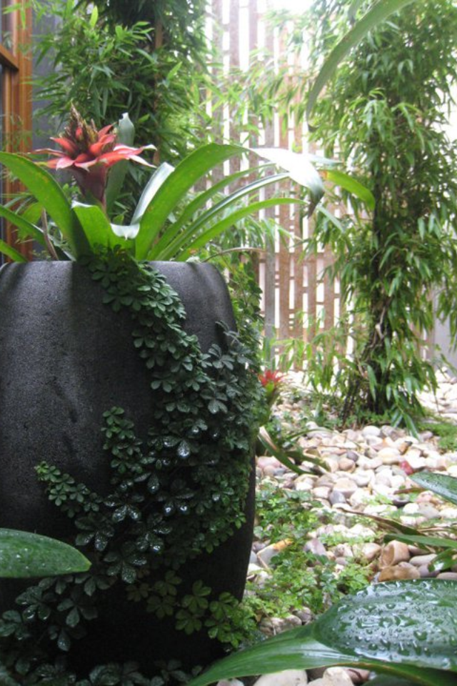 the plant broker