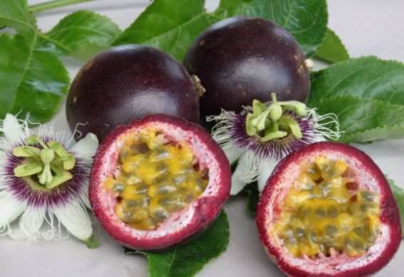 Passionfruit - Black