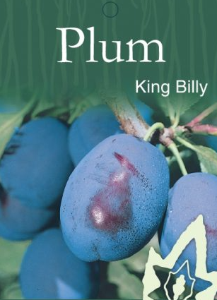 Plum - King Billy