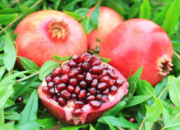 Punica granatum 'Wonderful' (Pomegranate)