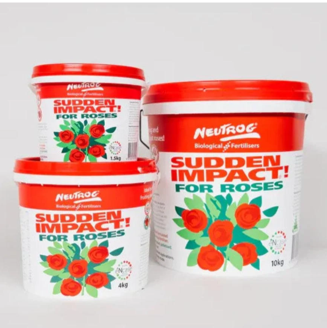 Rose Food Sudden Impact