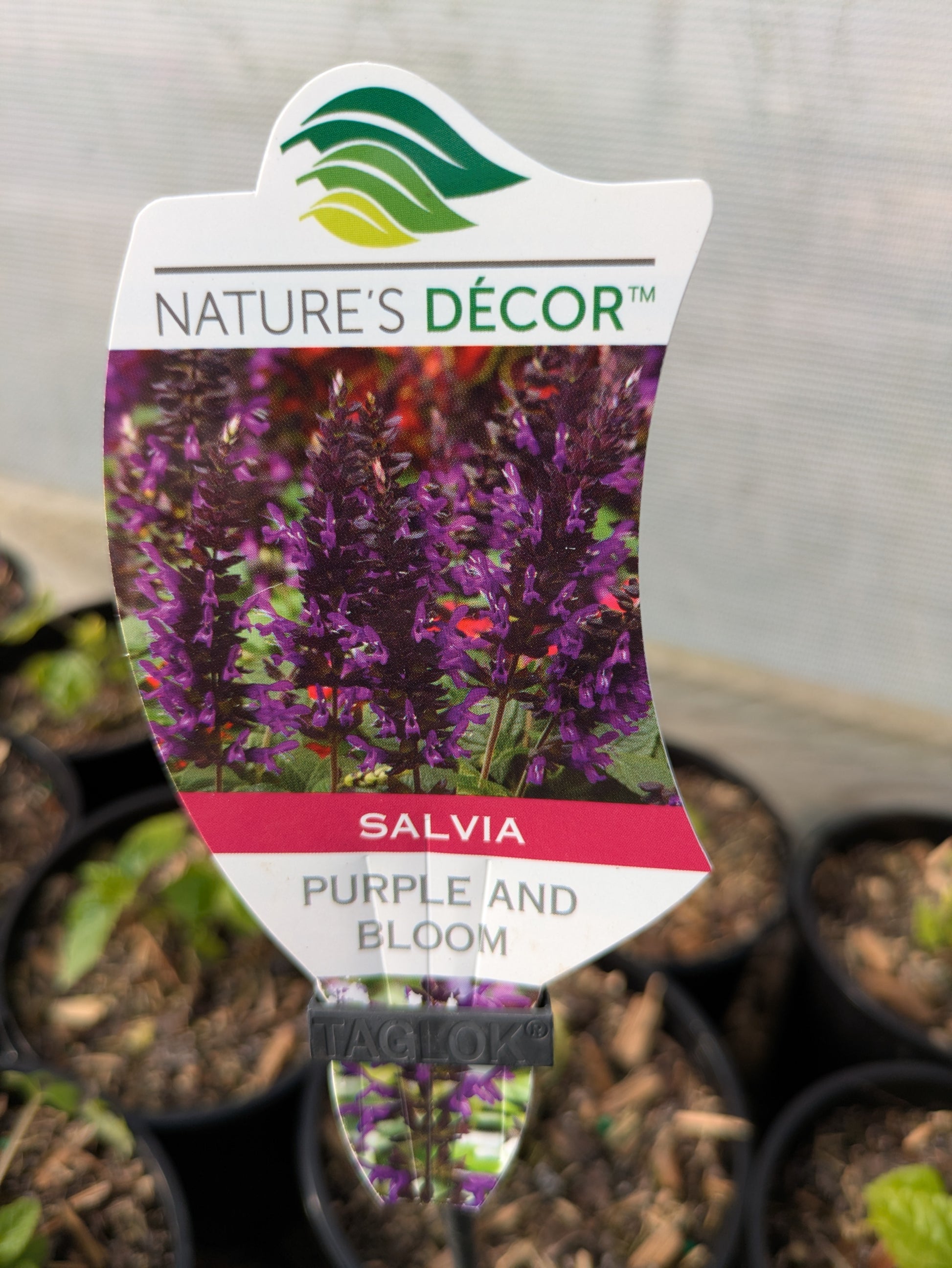 the plant broker