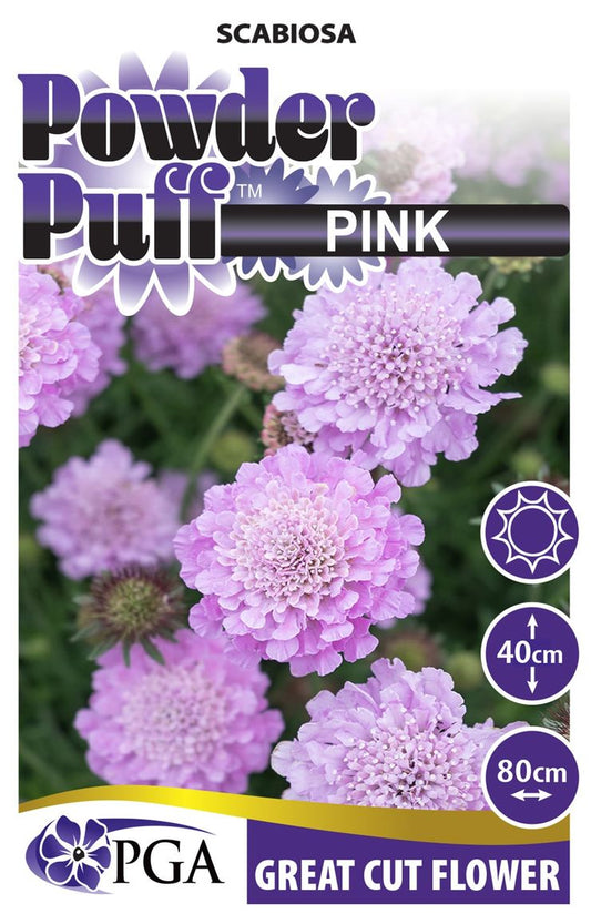 Scabiosa ‘POWDER PUFF™ Pink’