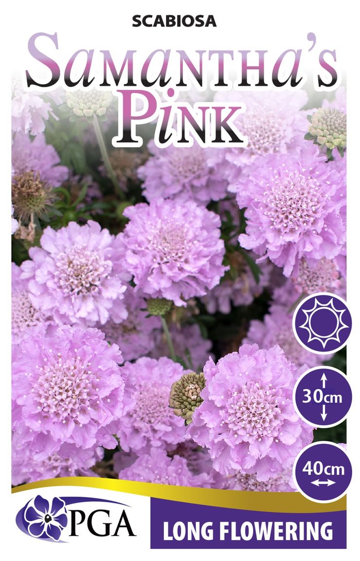 the plant broker