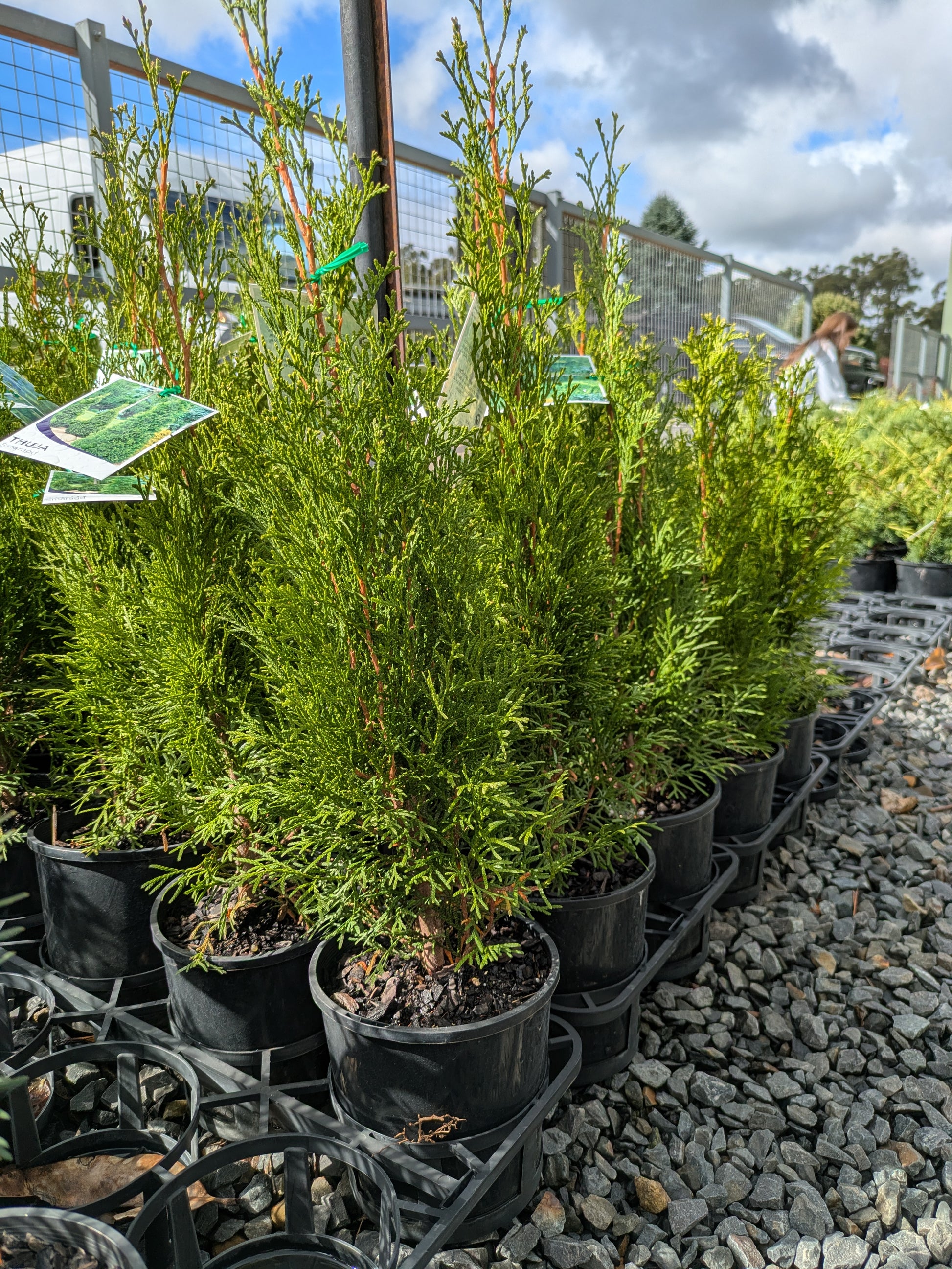 the plant broker