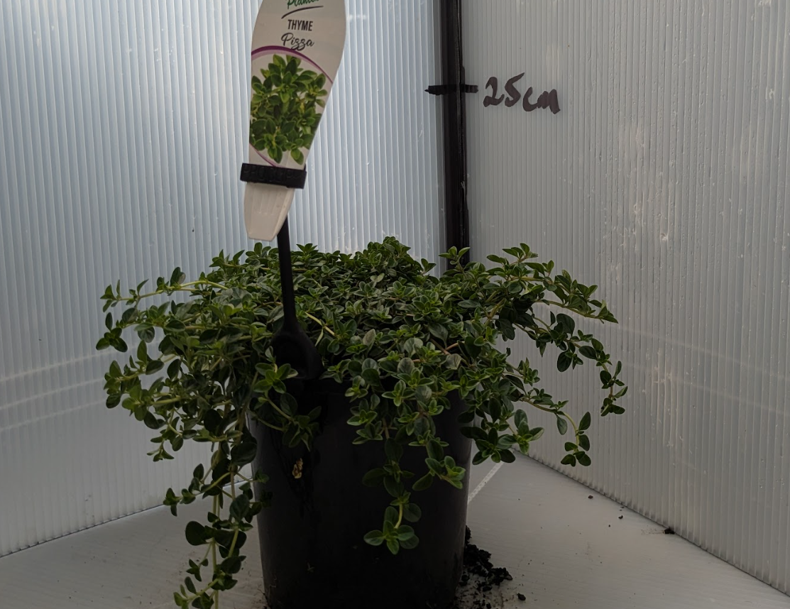 the plant broker