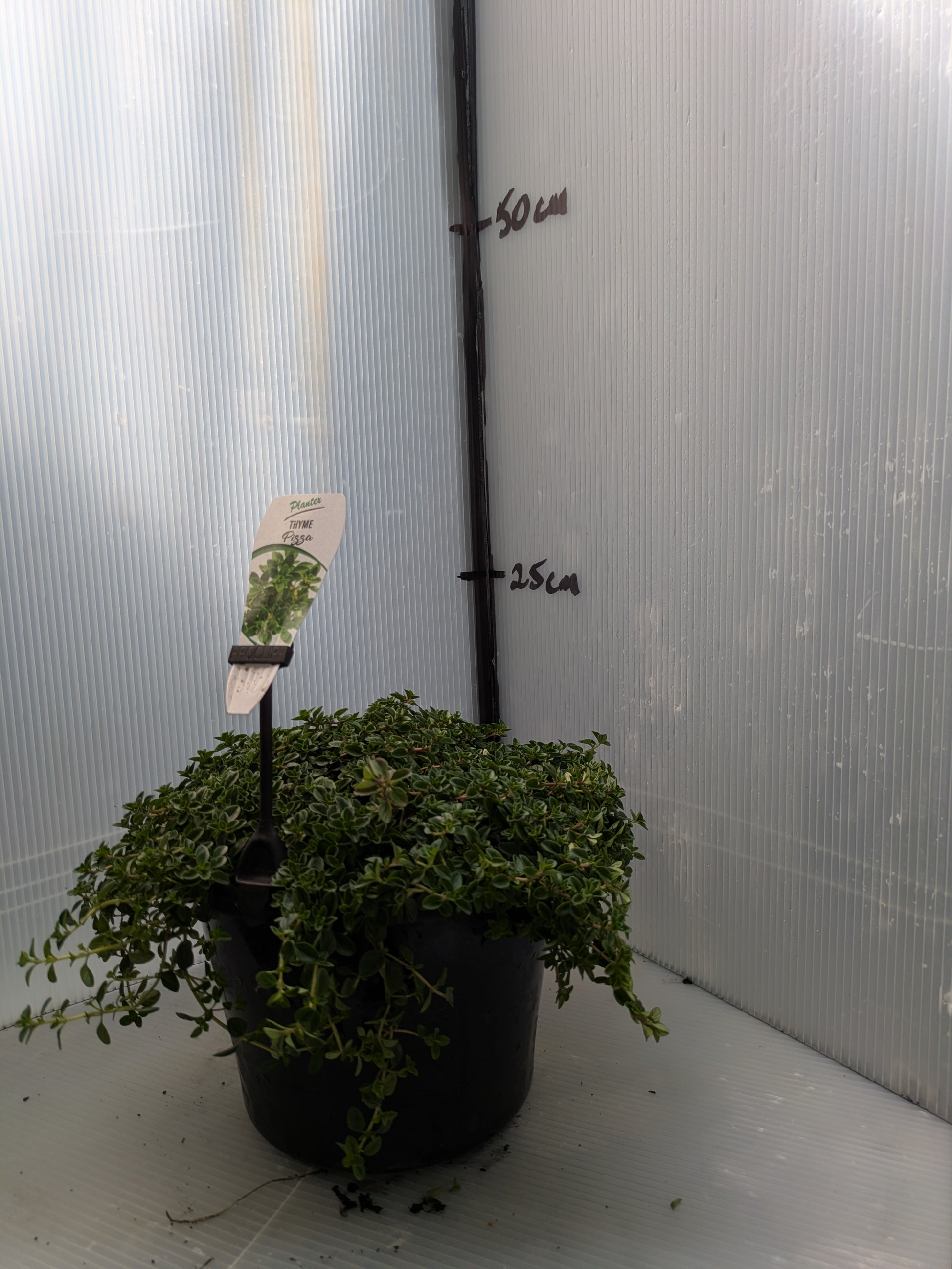 the plant broker