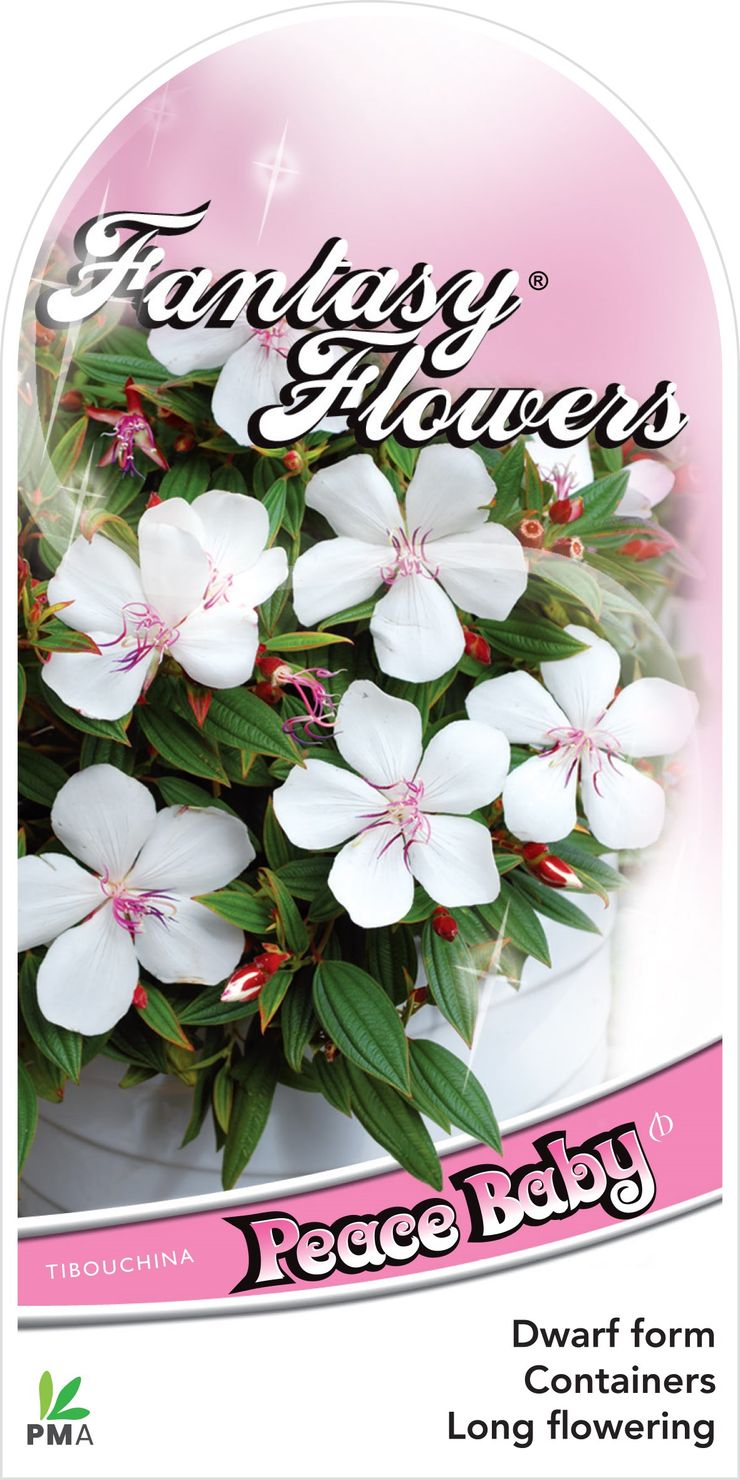 the plant broker