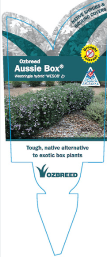 the plant broker