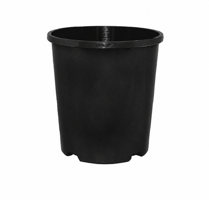 14cm Black Plastic Pot