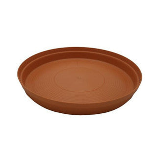 31cm Country Saucer