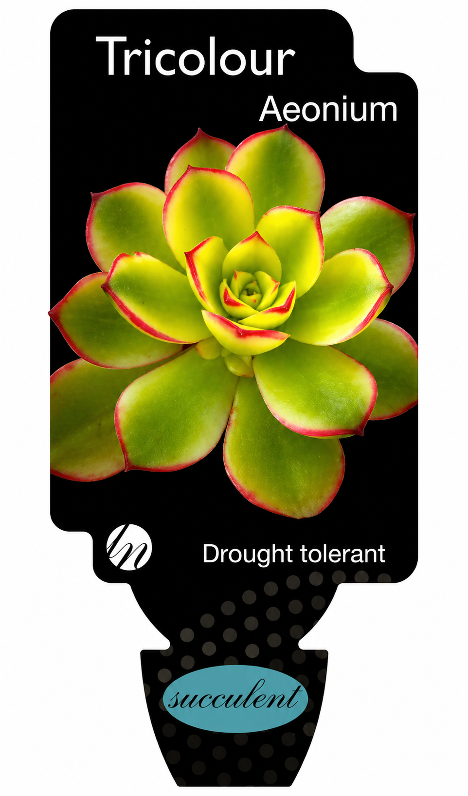 the plant broker