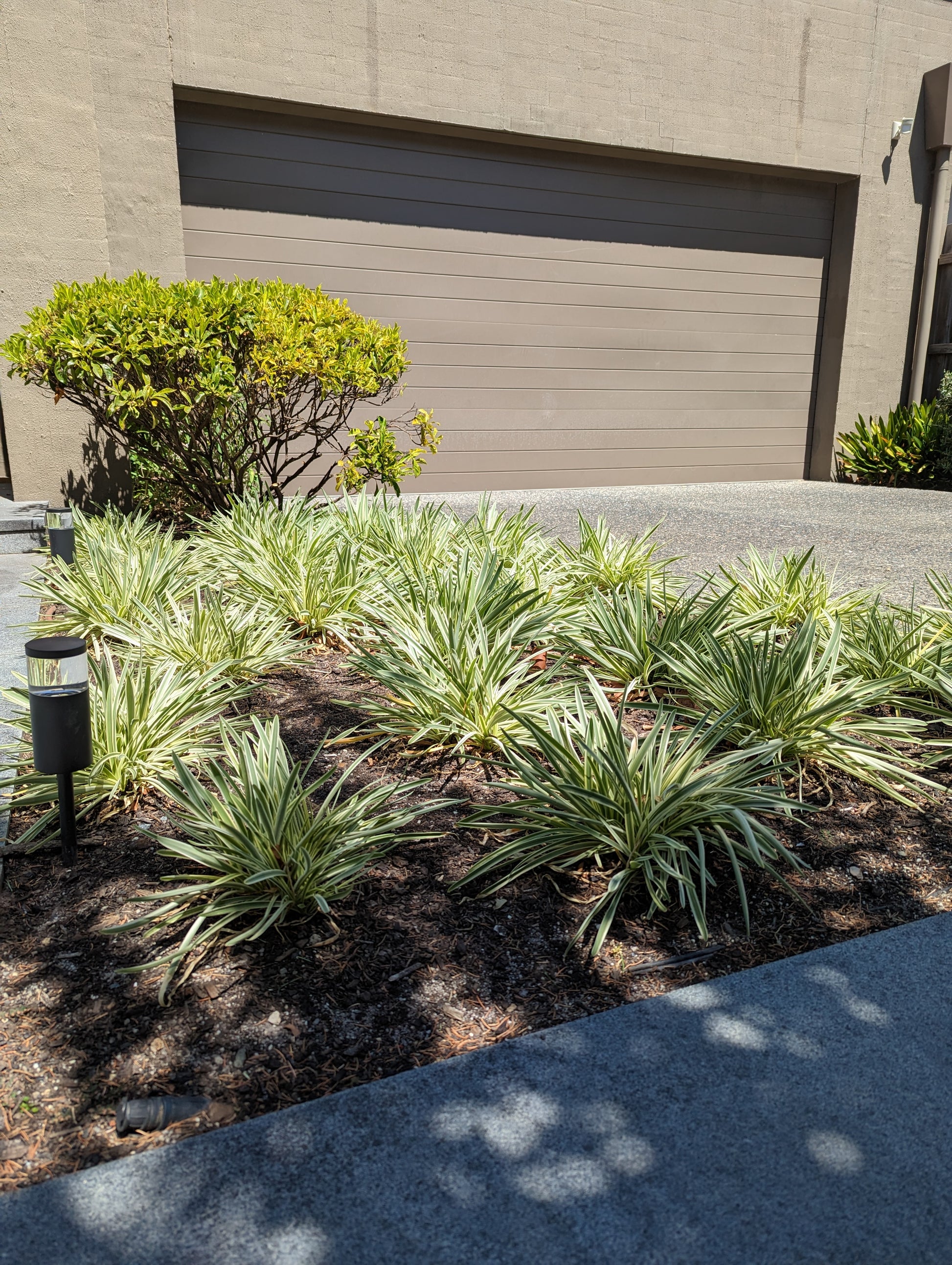 the plant broker