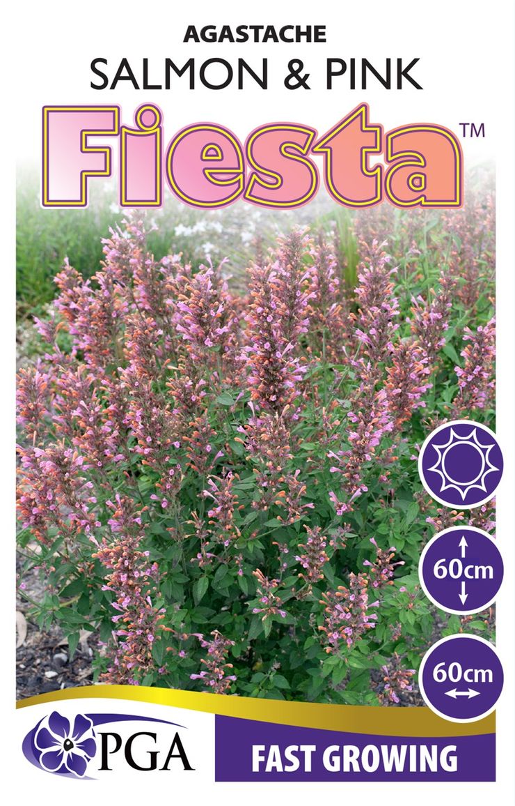 Agastache FIESTA™ ‘Salmon and Pink’