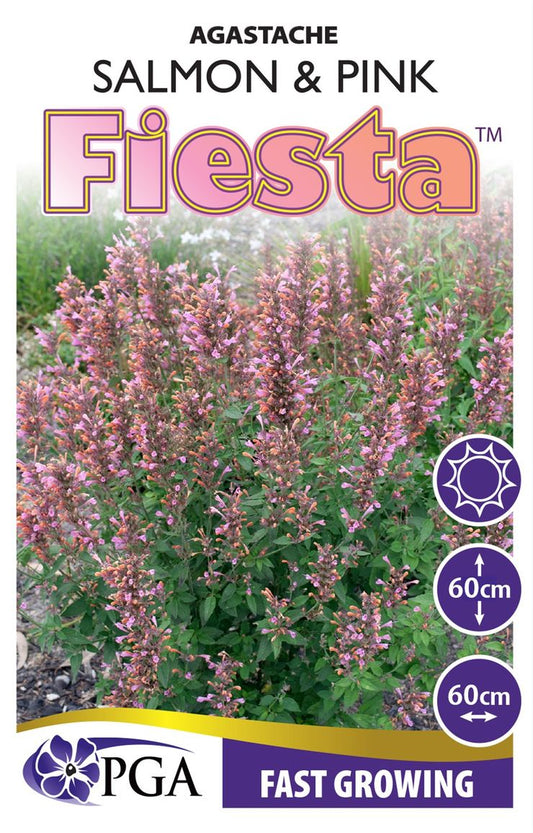 Agastache FIESTA™ ‘Salmon and Pink’