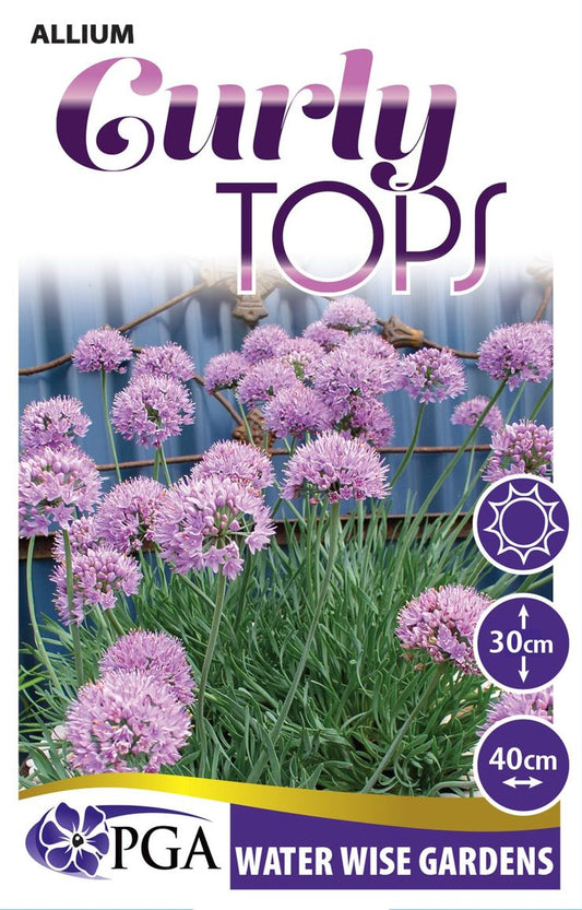 Allium ‘Curly Tops’