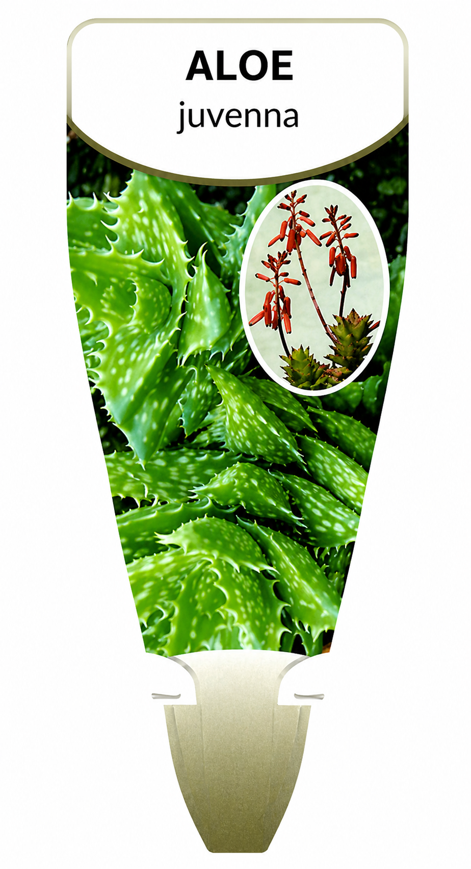 the plant broker