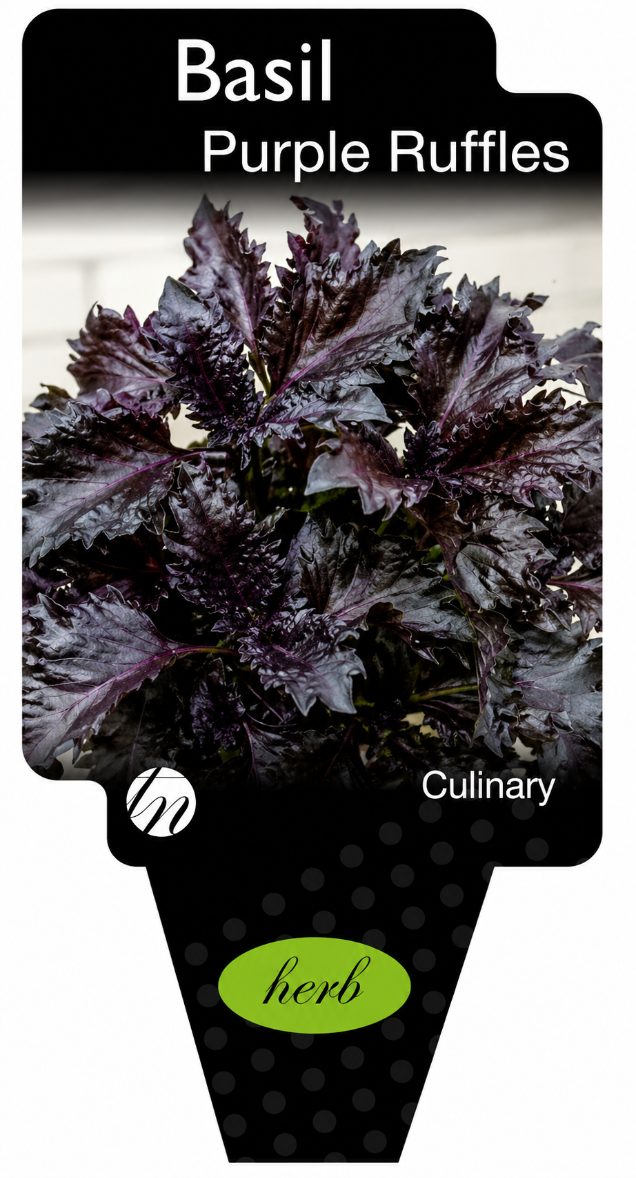 the plant broker