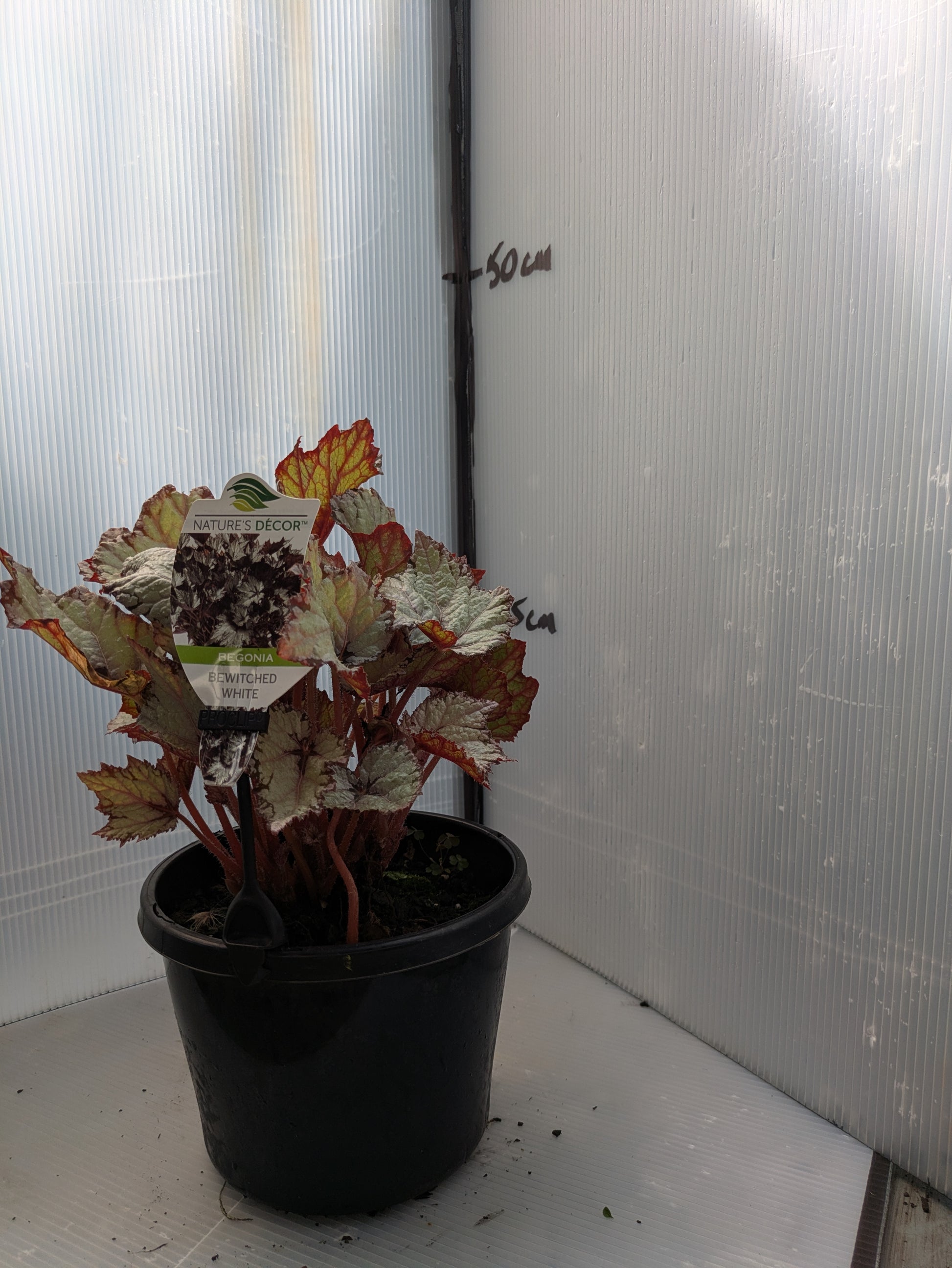the plant broker