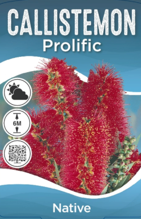the plant broker