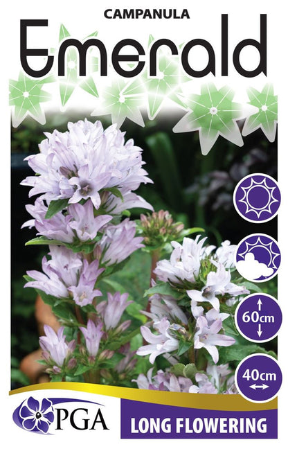 Campanula ‘Emerald’