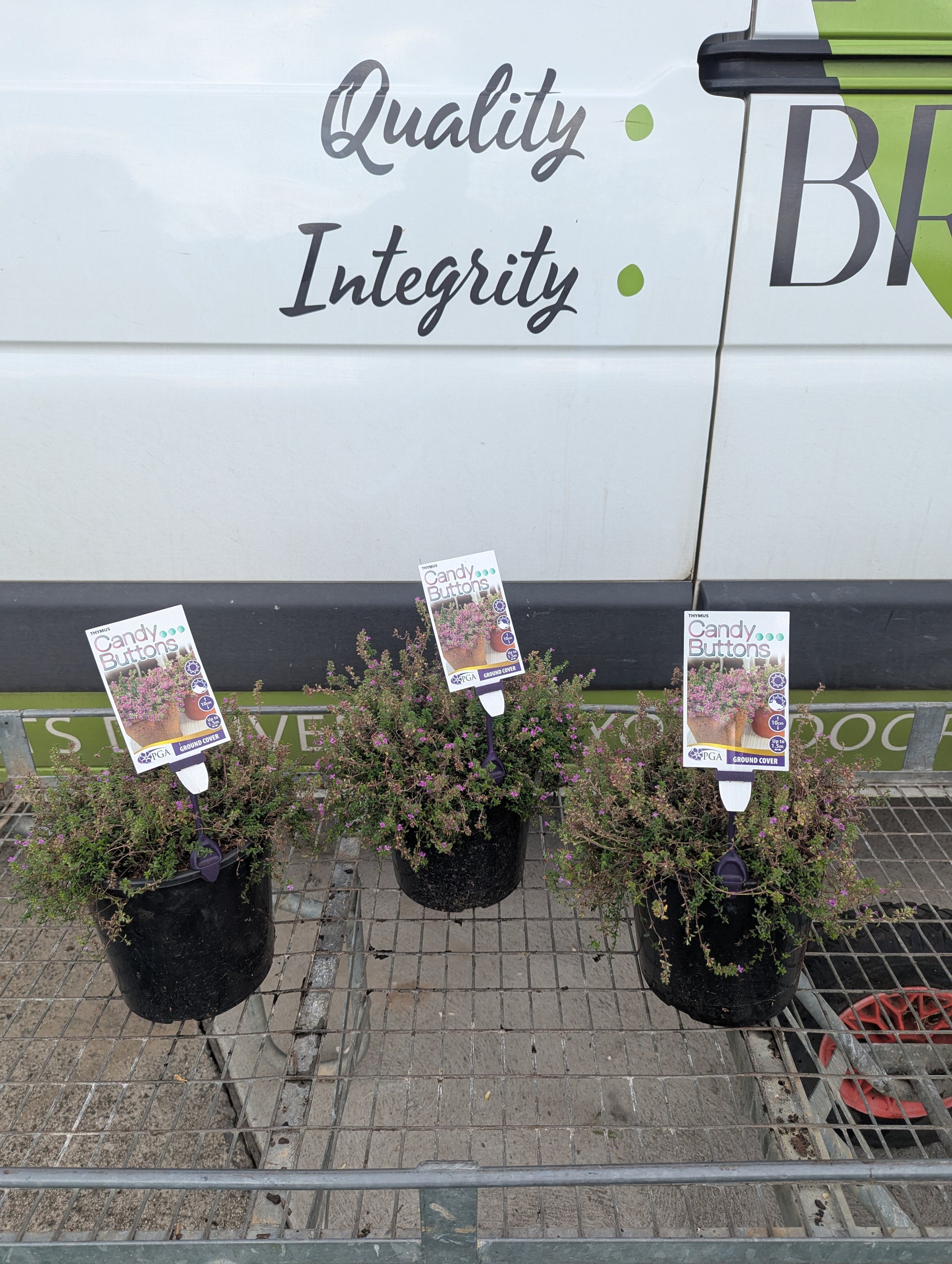 the plant broker