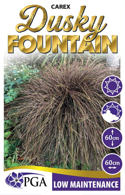 Carex "Dusky Fountain"