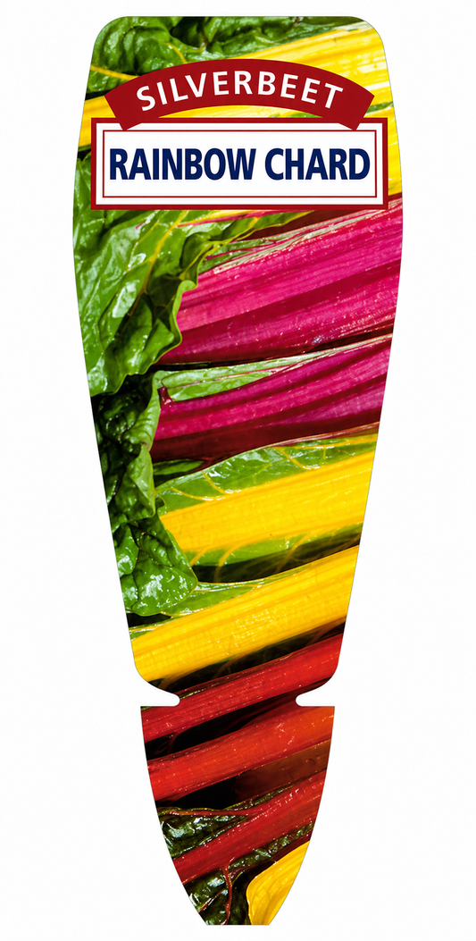 Chard - Rainbow Beta vulgaris Rainbow
