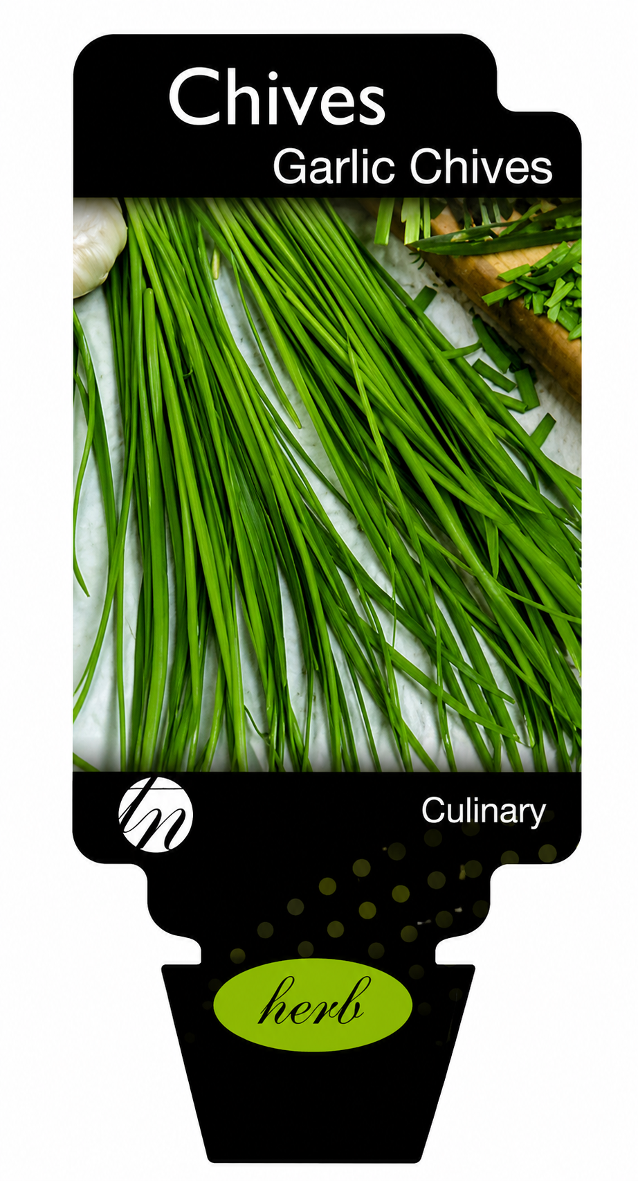 Chives - Garlic