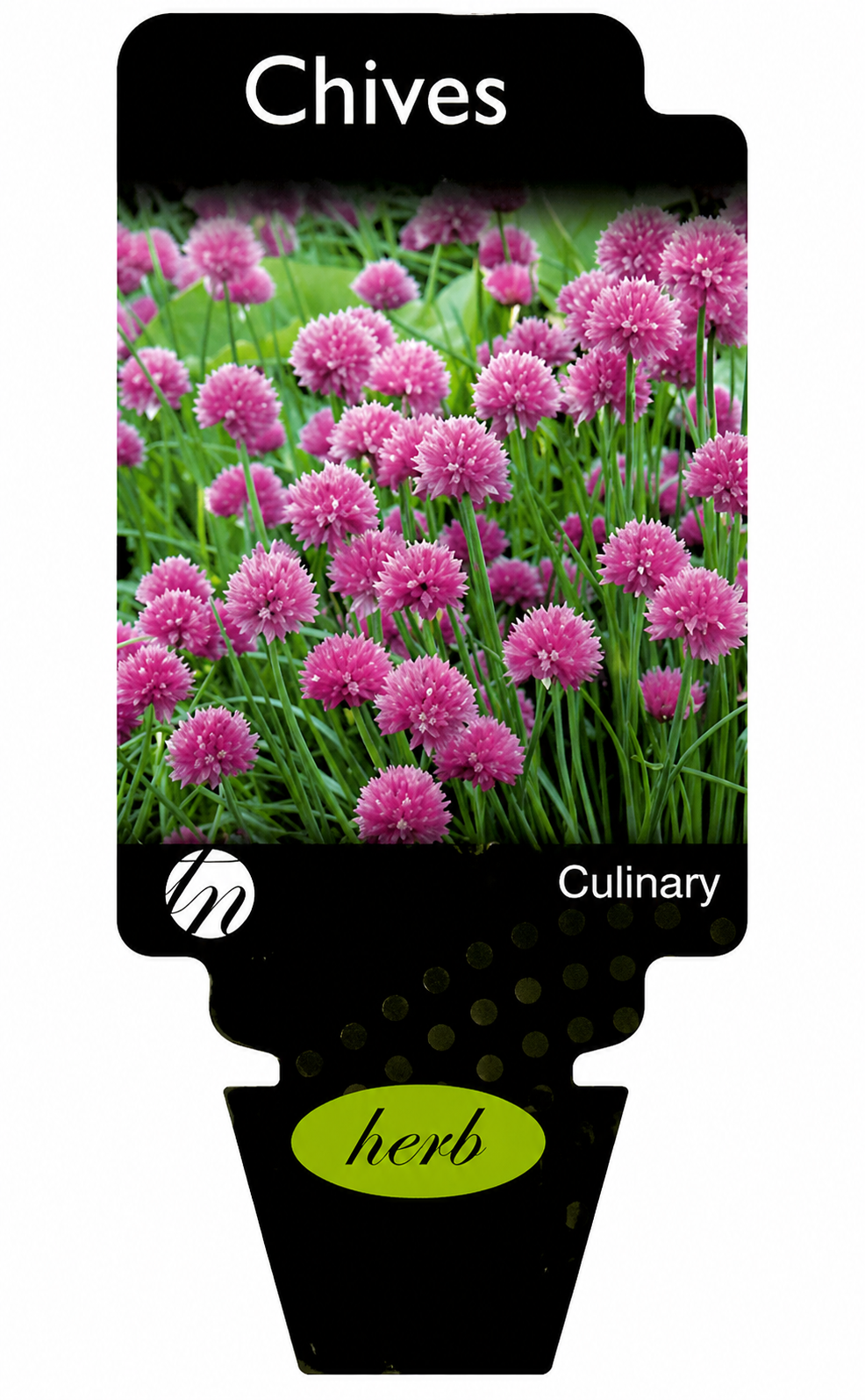 the plant broker