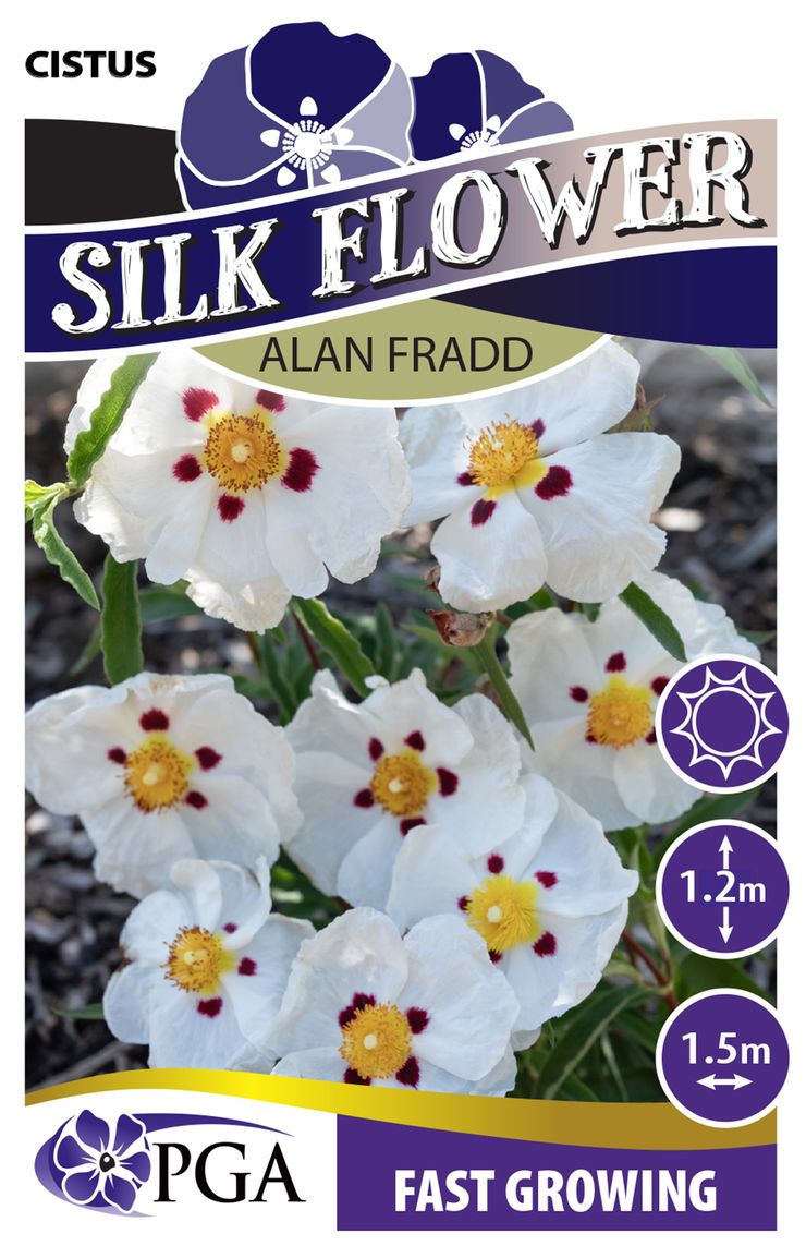 the plant broker