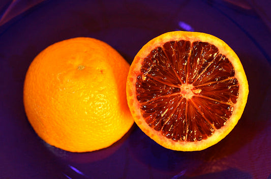 Citrus - Orange Blood