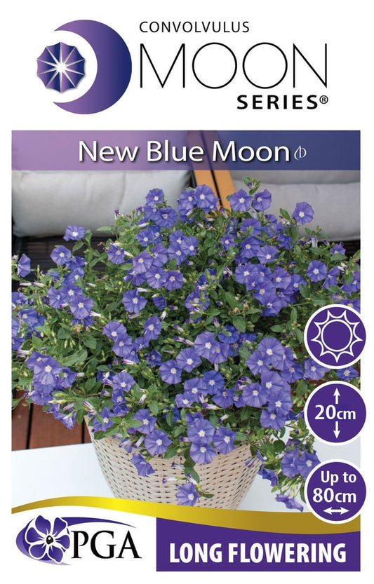 Convolvulus MOON Series® ‘New Blue Moon’